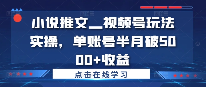 小说推文—视频号玩法实操，单账号半月破5000+收益-鼎誉项目网