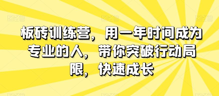 板砖训练营，用一年时间成为专业的人，带你突破行动局限，快速成长-鼎誉项目网
