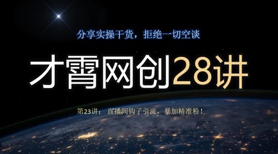 才霄网创28讲第23讲：直播间钩子引流，暴加精准粉！-鼎誉项目网