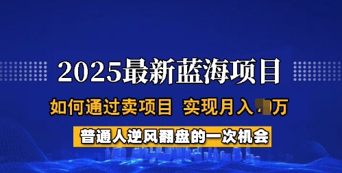 2025蓝海项目，普通人如何通过卖项目，实现月入过W，全过程【揭秘】-鼎誉项目网
