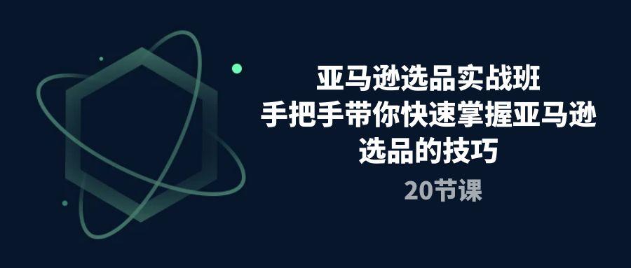 亚马逊选品实战班，手把手带你快速掌握亚马逊选品的技巧(20节课-鼎誉项目网