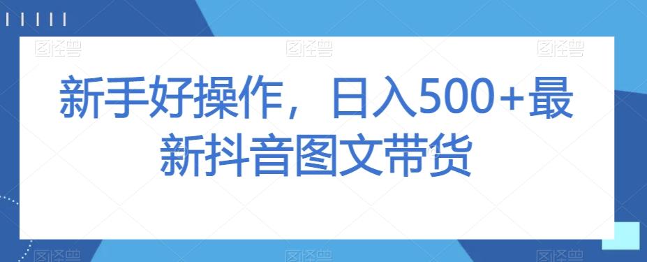 新手好操作，日入500+最新抖音图文带货【揭秘】-鼎誉项目网