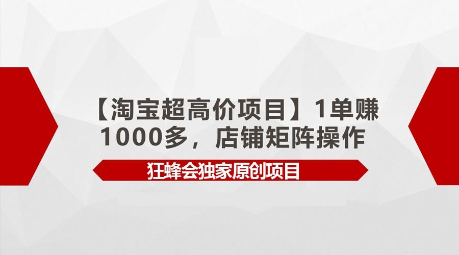 【淘宝超高价项目】1单赚1000多，店铺矩阵操作-鼎誉项目网