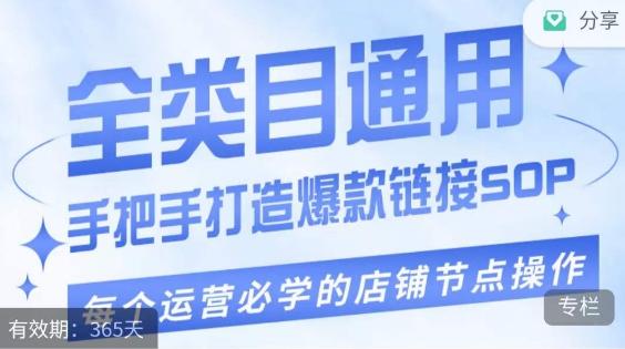单品爆款打造实操运营，单品爆款从“0”-“1”手把手演练运营步骤-鼎誉项目网