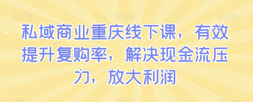 私域商业重庆线下课，有效提升复购率，解决现金流压力，放大利润-鼎誉项目网