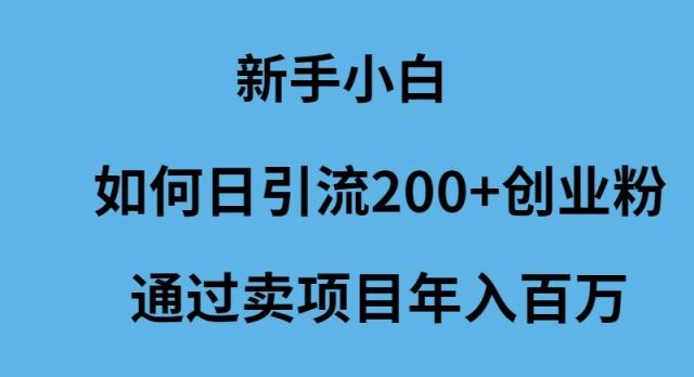 (9668期)新手小白如何日引流200+创业粉通过卖项目年入百万-鼎誉项目网