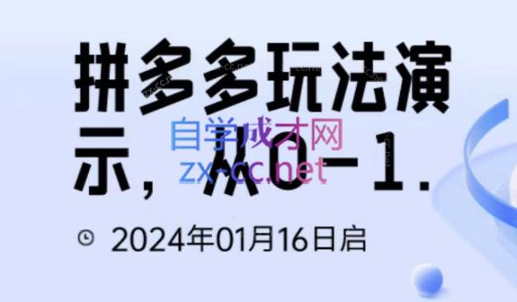 吴老师·拼多多从选品到截流到付费的玩法技巧-鼎誉项目网