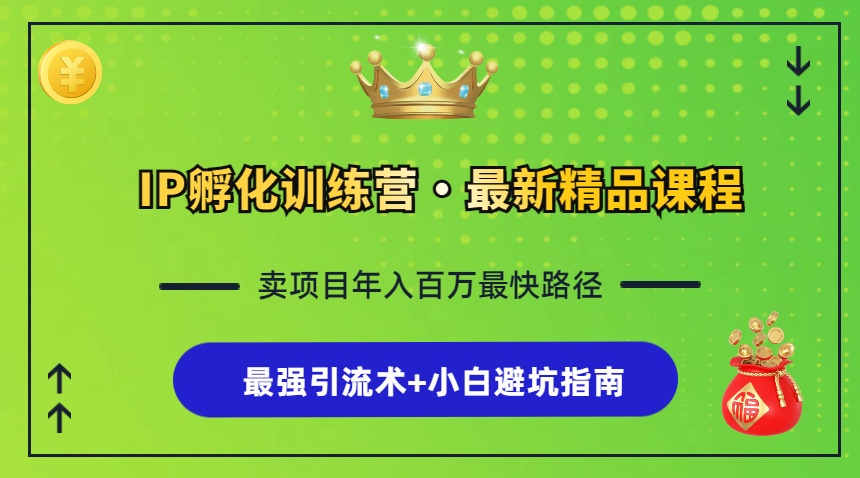 IP孵化训练营，知识付费全流程+最强引流术+小白避坑指南-鼎誉项目网