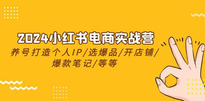 2024小红书电商实战营，养号打造IP/选爆品/开店铺/爆款笔记/等等(24节)-鼎誉项目网