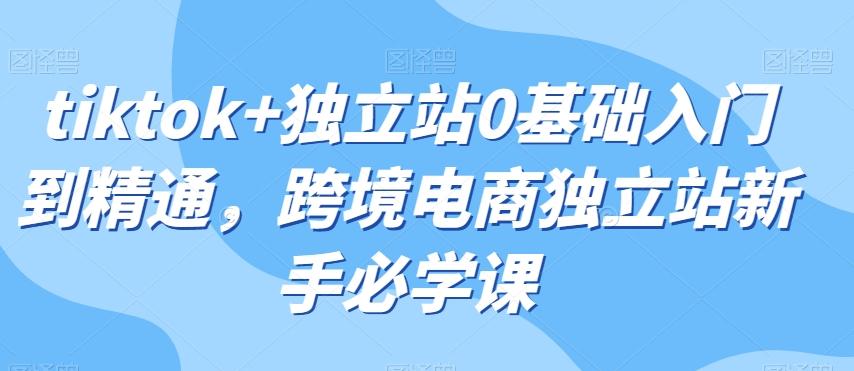 tiktok+独立站0基础入门到精通，跨境电商独立站新手必学课-鼎誉项目网