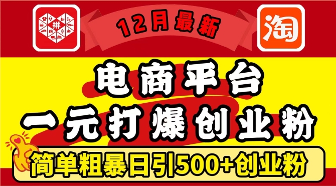 12月最新：电商平台1元打爆创业粉，简单粗暴日引500+精准创业粉，轻松月入过W【揭秘】-鼎誉项目网