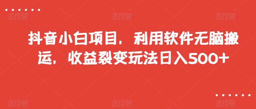 抖音小白项目，利用软件无脑搬运，收益裂变玩法日入500+【揭秘】-鼎誉项目网