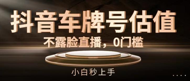 抖音车牌号估值，不露脸直播，0门槛，小白秒上手【揭秘】-鼎誉项目网
