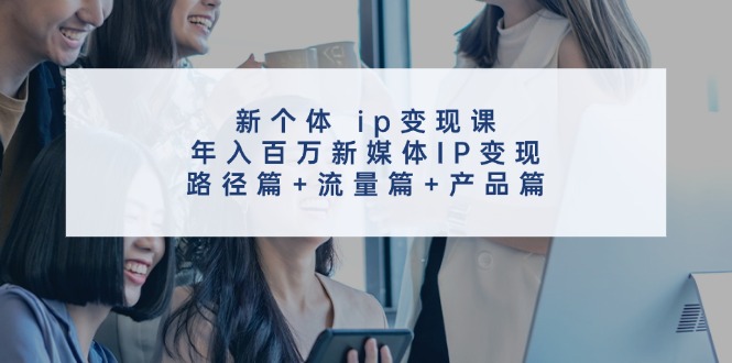 新个体ip变现课，年入百万新媒体IP变现，路径篇+流量篇+产品篇-鼎誉项目网