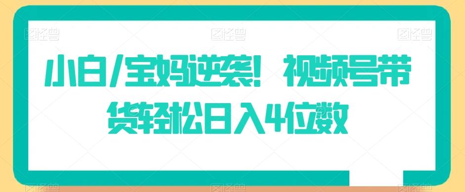 小白/宝妈逆袭！视频号带货轻松日入4位数【揭秘】-鼎誉项目网