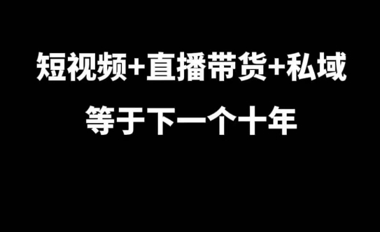 短视频+直播带货+私域等于下一个十年，大佬7年实战经验总结-鼎誉项目网