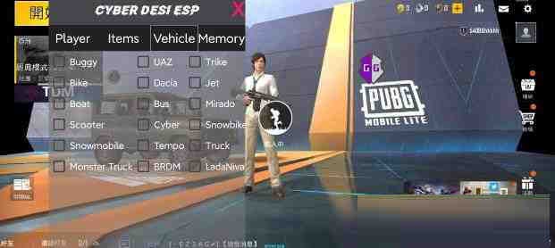 PUBG轻量老外裸奔绘制+自瞄 支持ROOT和框架 里面有全局离线-鼎誉项目网