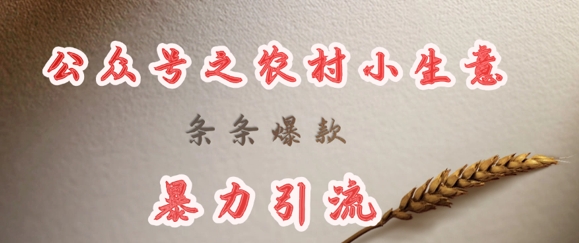 deepseek写农村小项目，条条爆款，暴力引流-鼎誉项目网