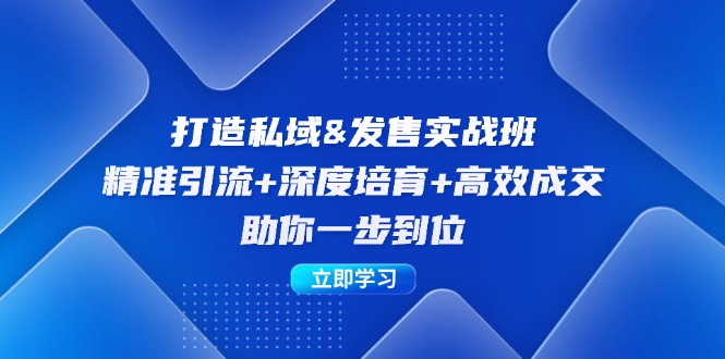 打造私域&发售实操班：精准引流+深度培育+高效成交，助你一步到位-鼎誉项目网