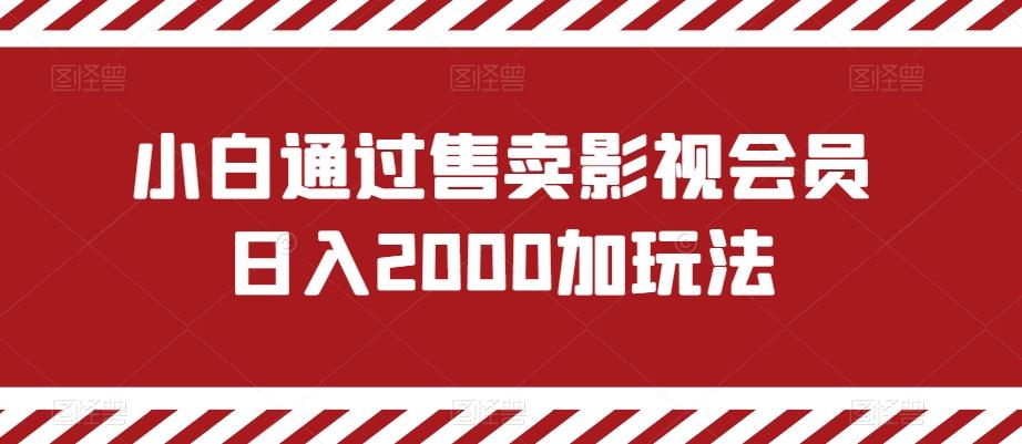 小白通过售卖影视会员日入2000加玩法-鼎誉项目网