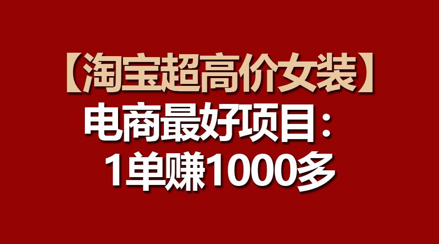 【淘宝超高价女装】电商最好项目：一单赚1000多-鼎誉项目网