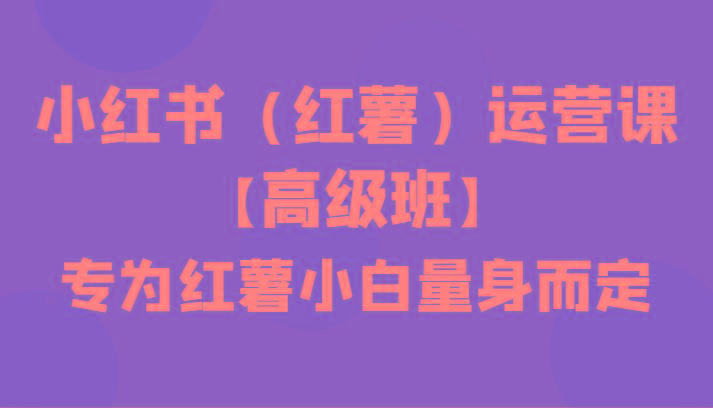 小红书(红薯)运营课【高级班】，专为红薯小白量身而定(42节课)-鼎誉项目网