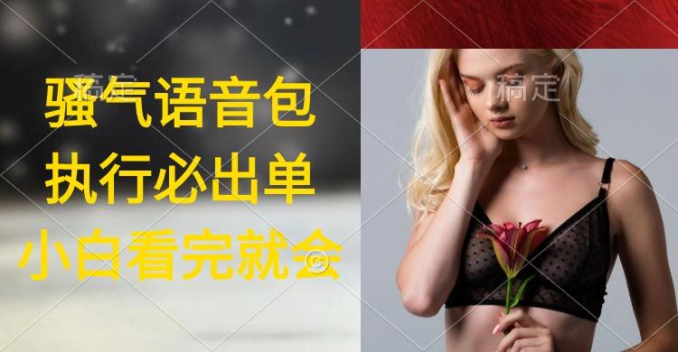 (9589期)执行就出单，日入2000+，超火骚气语音包，小白看完课程就能马上实操-鼎誉项目网