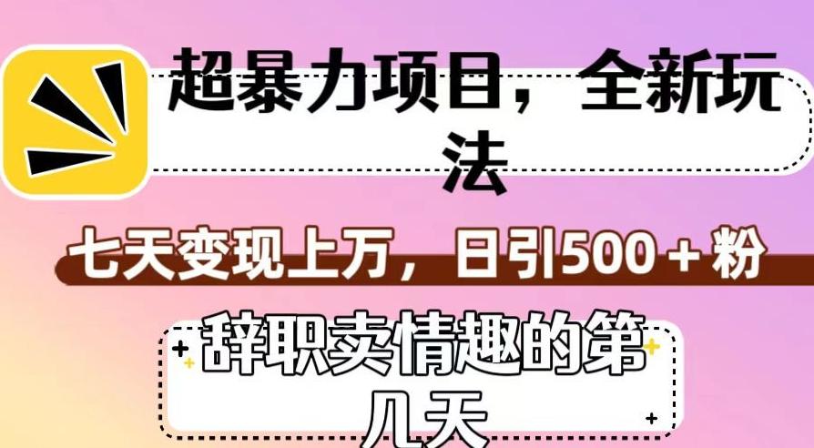 超暴利项目，全新玩法（辞职卖情趣的第几天），七天变现上万，日引500+粉【揭秘】-鼎誉项目网