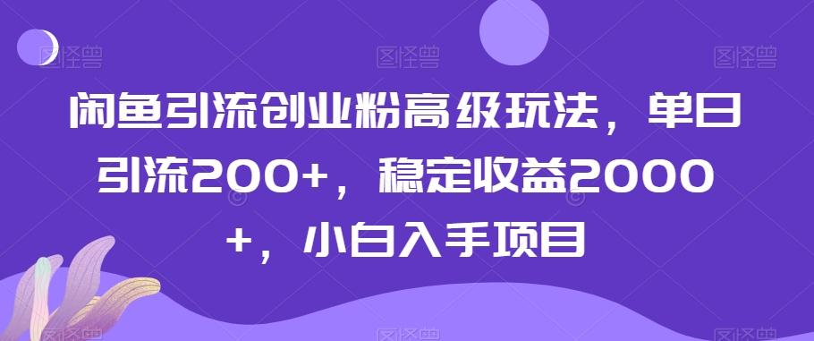 闲鱼引流创业粉高级玩法，单日引流200+，稳定收益2000+，小白入手项目-鼎誉项目网