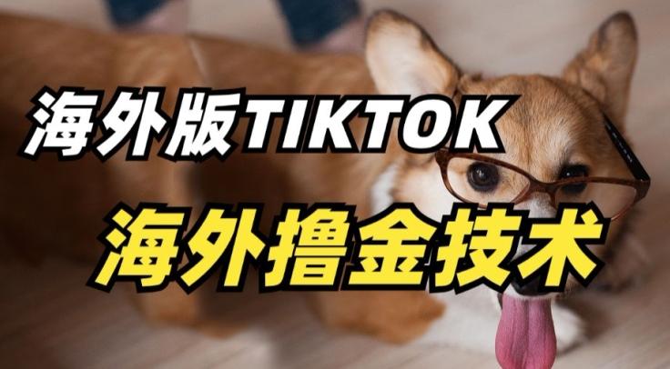 抖音海外版tiktok撸金技术，这个风口行业，赚钱真的不难【揭秘】-鼎誉项目网