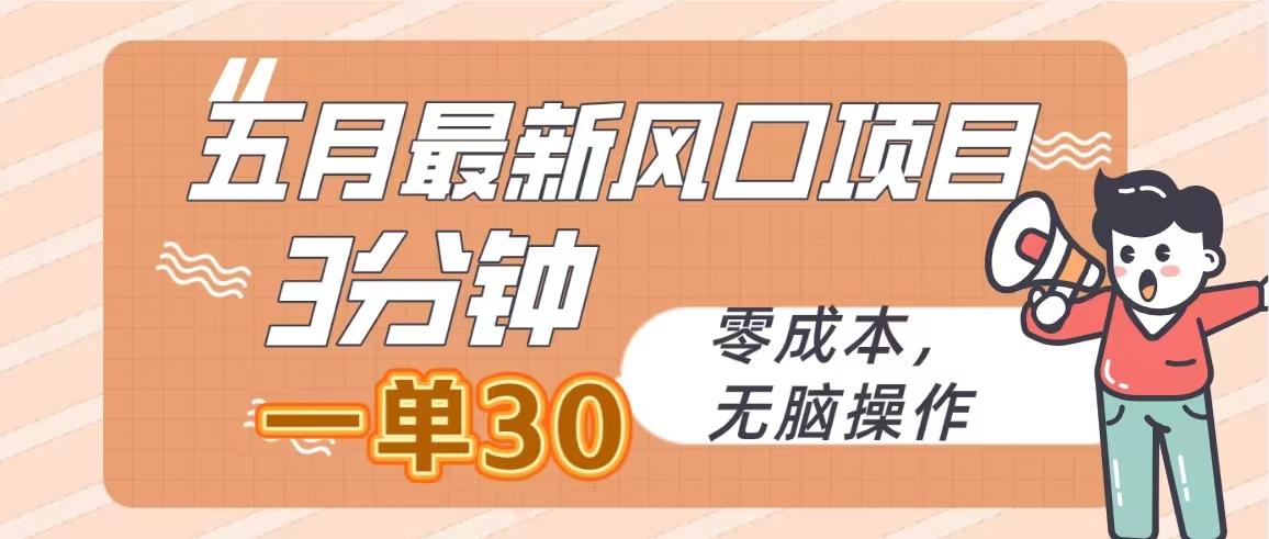 五月最新风口项目，3分钟一单30，零成本，无脑操作-鼎誉项目网