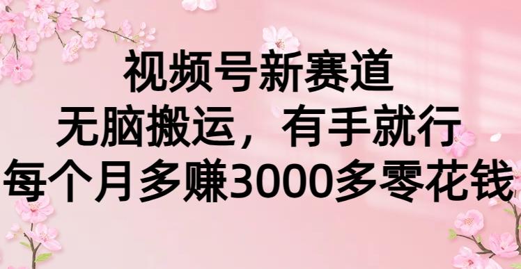 (9278期)视频号新赛道，无脑搬运，有手就行，每个月多赚3000多零花钱-鼎誉项目网