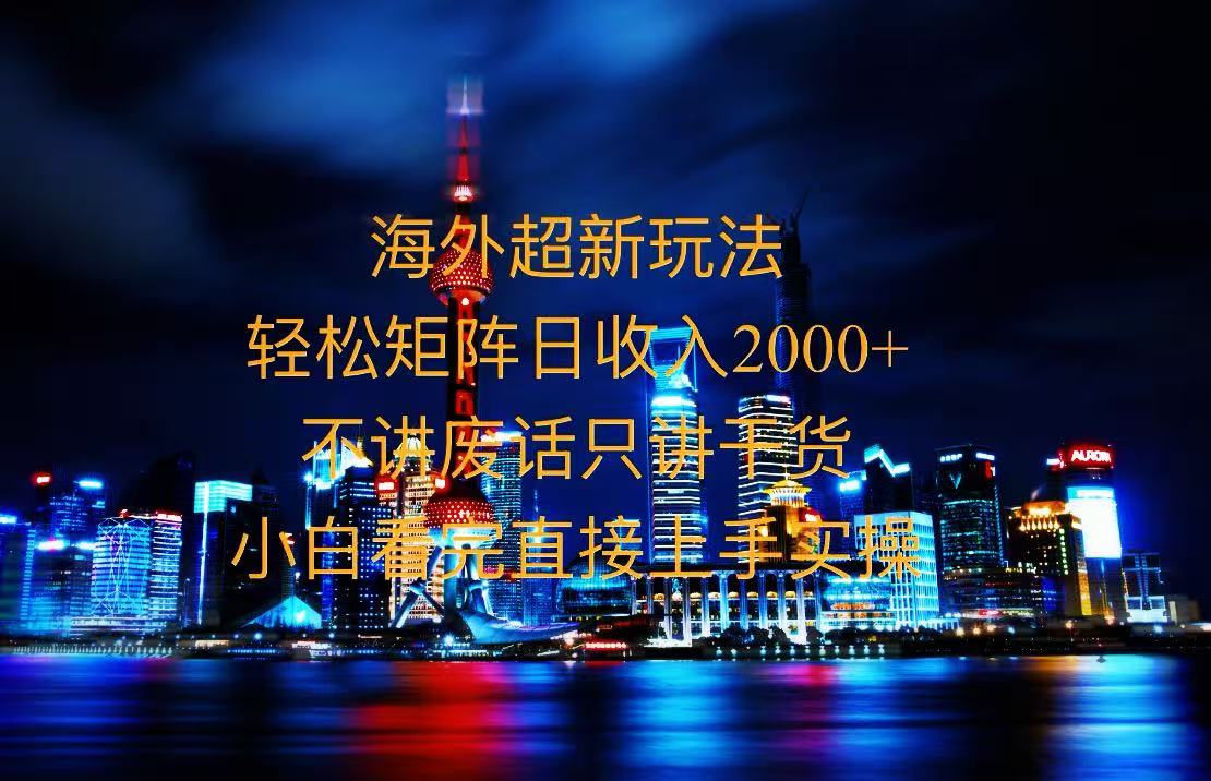 2025全新海外暴力玩法，操作简单，小白轻松上手-鼎誉项目网