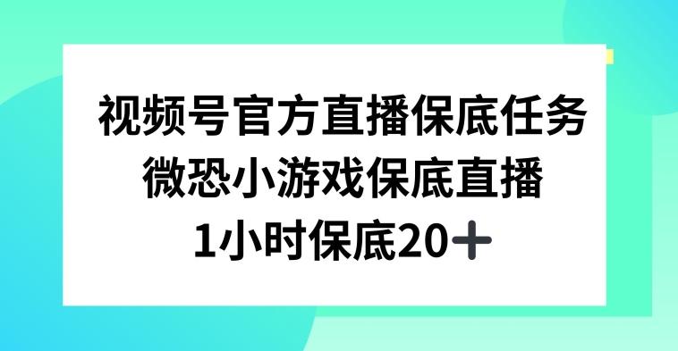 视频号直播任务，微恐小游戏，1小时20+【揭秘】-鼎誉项目网