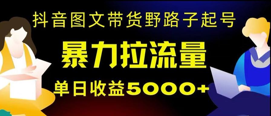 抖音图文带货暴力起号，单日收益5000+，野路子玩法，简单易上手，一部手机即可【揭秘】-鼎誉项目网