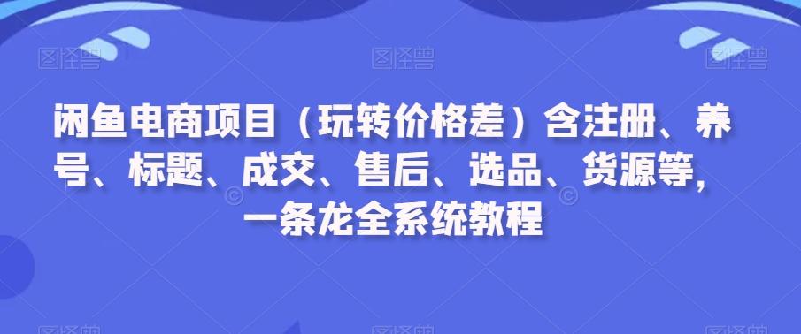 闲鱼电商项目(玩转价格差)含注册、养号、标题、成交、售后、选品、货源等，一条龙全系统教程-鼎誉项目网