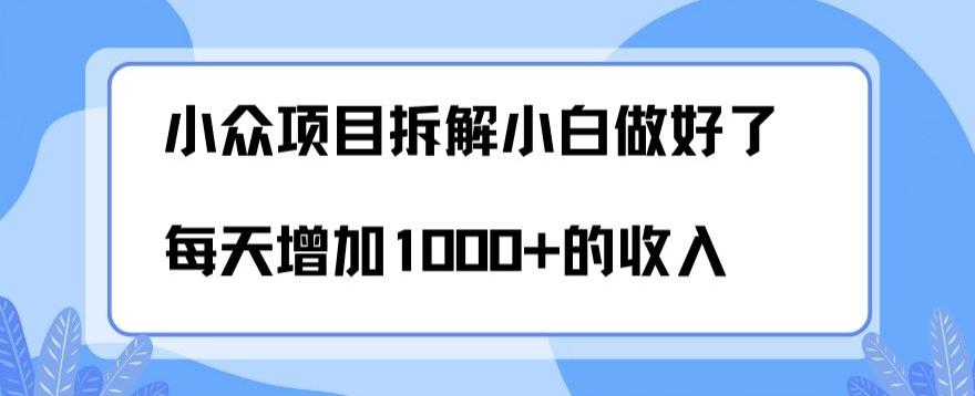 小众项目拆解，小白做好了每天可增加1000多的收入-鼎誉项目网