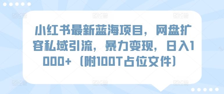 小红书最新蓝海项目，网盘扩容私域引流，暴力变现，日入1000+(附100T占位文件)【揭秘】-鼎誉项目网