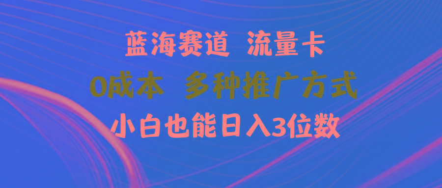 蓝海赛道 流量卡 0成本 小白也能日入三位数-鼎誉项目网