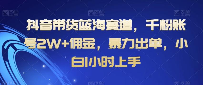 抖音带货蓝海赛道，千粉账号2W+佣金，暴力出单，小白1小时上手【揭秘】-鼎誉项目网