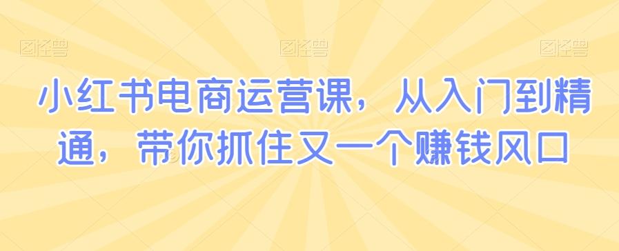 小红书电商运营课，从入门到精通，带你抓住又一个赚钱风口-鼎誉项目网