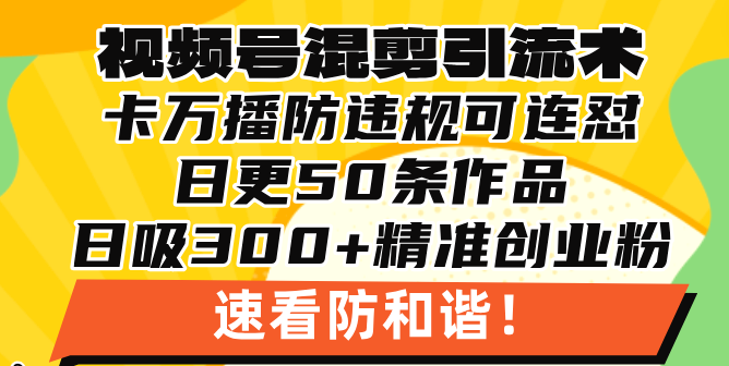 视频号混剪引流技术，500万播放引流17000创业粉，操作简单当天学会-鼎誉项目网