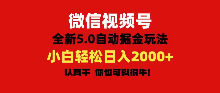 微信视频号变现，5.0全新自动掘金玩法，日入利润2000+有手就行-鼎誉项目网