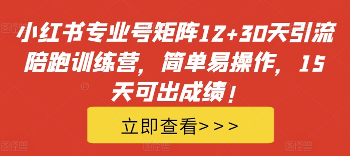 小红书专业号矩阵12+30天引流陪跑训练营，简单易操作，15天可出成绩!-鼎誉项目网