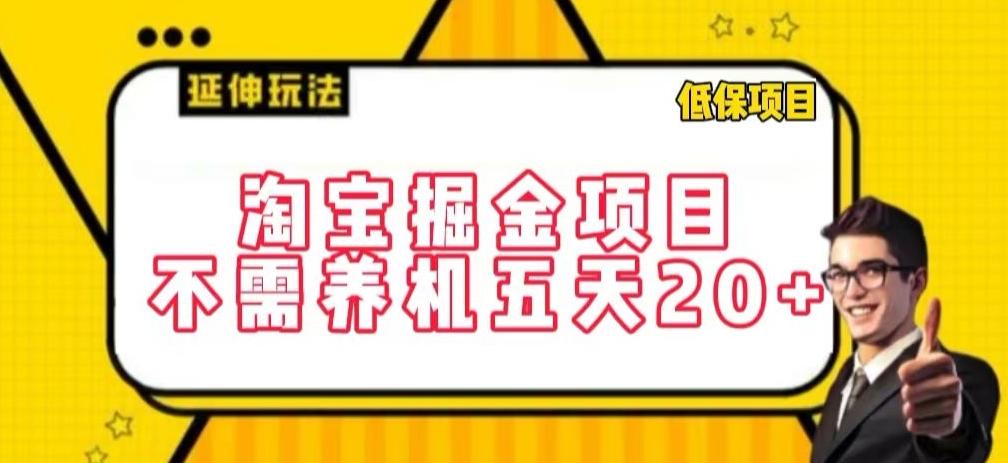淘宝掘金项目，不需养机，五天20+，每天只需要花三四个小时【揭秘】-鼎誉项目网