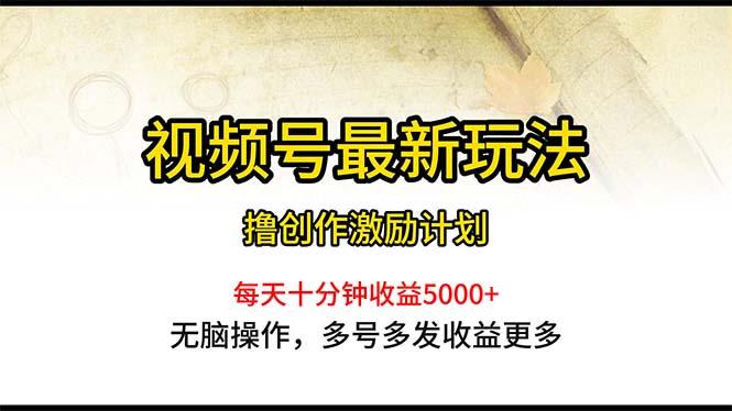 视频号最新玩法，每日一小时月入5000+-鼎誉项目网