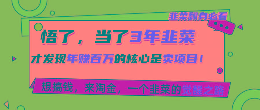 悟了，当了3年韭菜，才发现网赚圈年赚100万的核心是卖项目，含泪分享！-鼎誉项目网