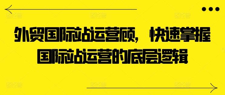 外贸国际站运营顾问，快速掌握国际站运营的底层逻辑-鼎誉项目网