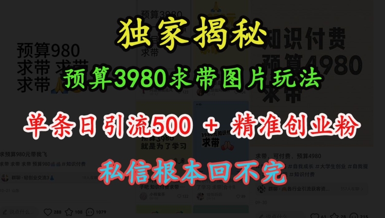 预算3980求带 图片玩法，单条日引流500+精准创业粉，私信根本回不完-鼎誉项目网