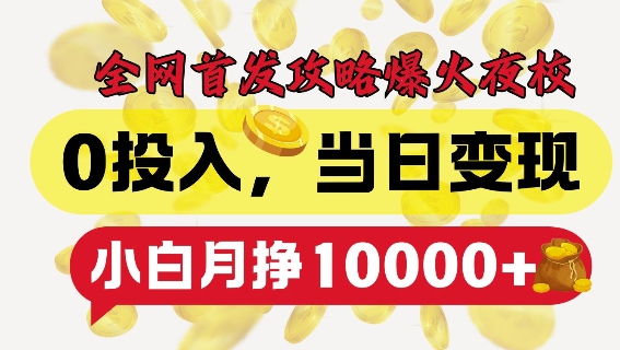 全网首发爆火夜校，0投入，当日变现，小白轻松月入1w+【揭秘】-鼎誉项目网